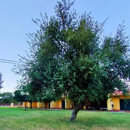 Nuraghe Ruiu Camping & Bungalow Norbello Eksteriør billede