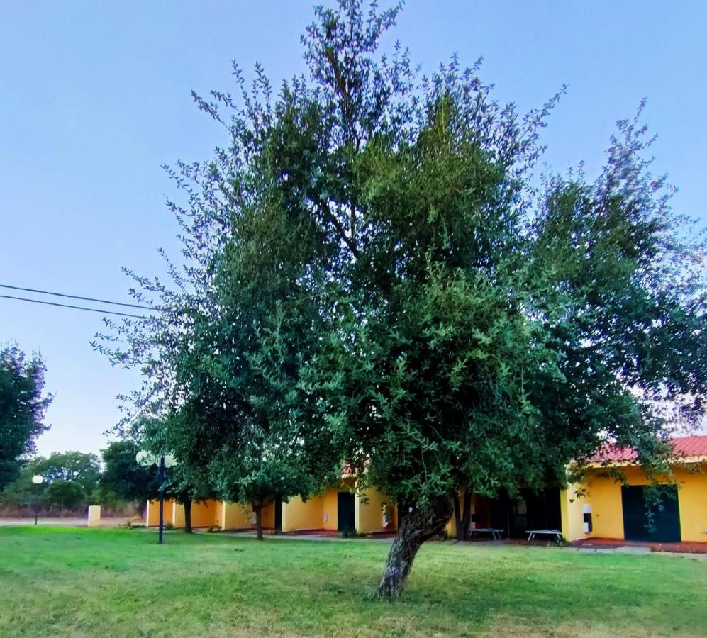 Nuraghe Ruiu Camping & Bungalow Norbello Eksteriør billede