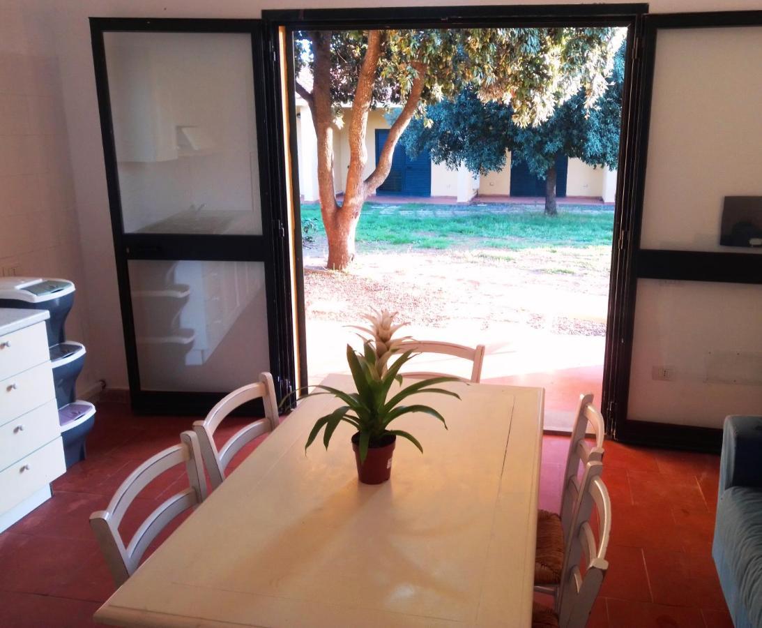 Nuraghe Ruiu Camping & Bungalow Norbello Eksteriør billede