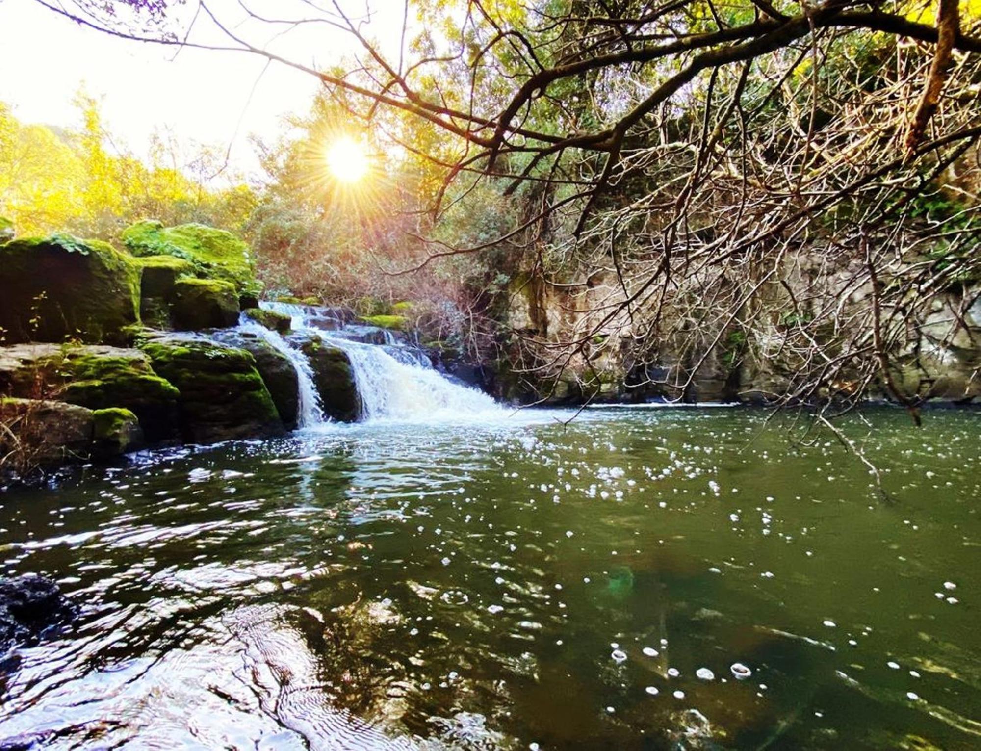 Nuraghe Ruiu Camping & Bungalow Norbello Eksteriør billede