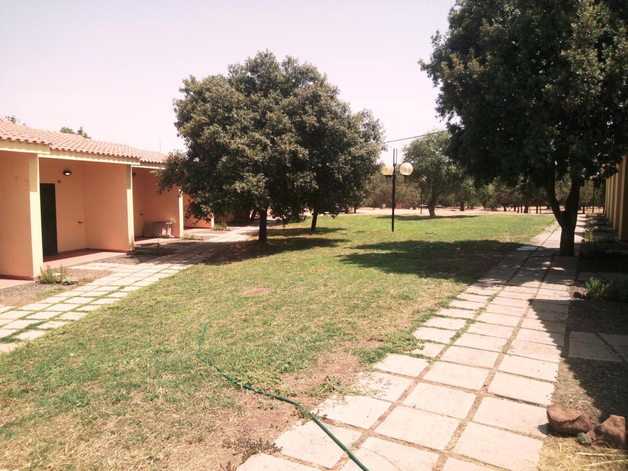 Nuraghe Ruiu Camping & Bungalow Norbello Eksteriør billede